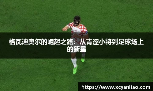 格瓦迪奥尔的崛起之路：从青涩小将到足球场上的新星